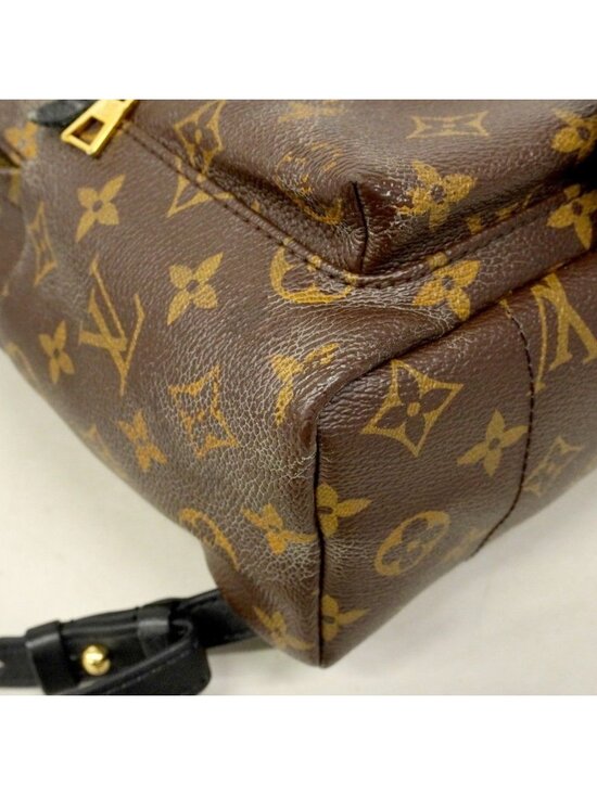 Louis Vuitton Backpack Monogram Palm Springs PM Brown